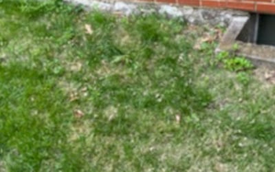 Photo of Julie L.'s yard after getting landscaping in Sibley, MO