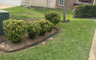 Photo of Lisa J.'s yard after getting landscaping in Wilmer, TX