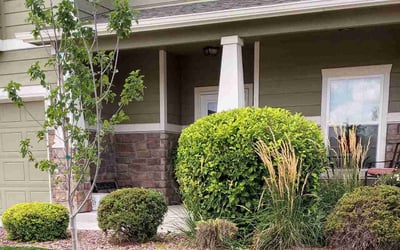 Photo of Eric R.'s yard after getting landscaping in Manitou Springs, CO