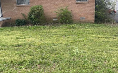 Photo of Jennifer L.'s yard after getting landscaping in Jacksonville, AR