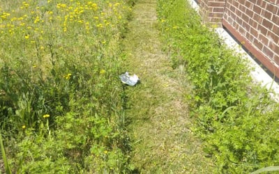 Photo of Venecia R.'s yard after getting landscaping in Fate, TX