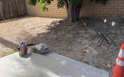 Photo of Monique A.'s yard after getting tree care in Santa Maria, CA