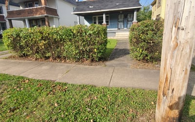 Photo of Dana W.'s yard after getting landscaping in Brookpark, OH