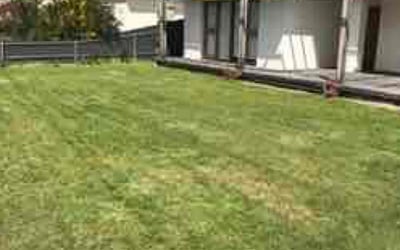 Photo of Lo T.'s yard after getting lawn care in Danville, CA