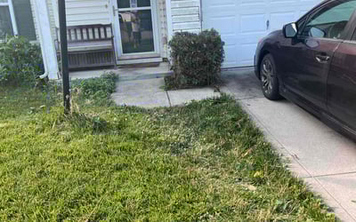 Photo of Heather C.'s yard after getting landscaping in Cloverdale, IN