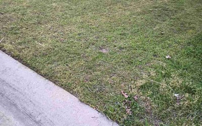 Photo of Adrian H.'s yard after getting landscaping in Royse City, TX