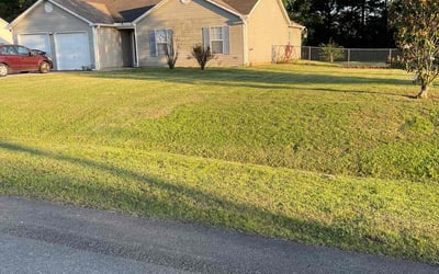 Photo of Senthy S.'s yard after getting tree care in Huntsville, AL