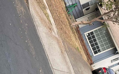 Photo of Evelyn C.'s yard after getting tree care in Santa Ana, CA