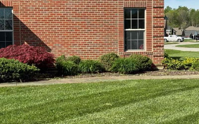 Photo of Brandon L.'s yard after getting landscaping in Sellersburg, IN