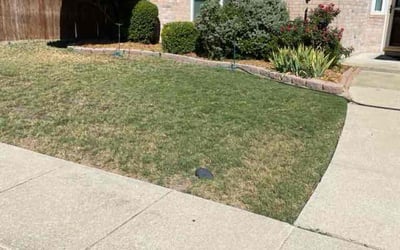 Photo of Gloria D.'s yard after getting landscaping in Lone Oak, TX
