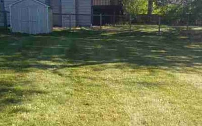 Photo of Peter S.'s yard after getting landscaping in Annandale, MN