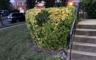 Photo of James L.'s yard after getting landscaping in Newburg, MD
