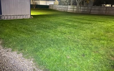 Photo of Elizabeth H.'s yard after getting landscaping in Louisville, OH