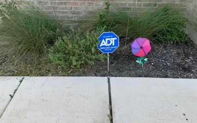 Photo of Mary G.'s yard after getting landscaping in Saint Hedwig, TX