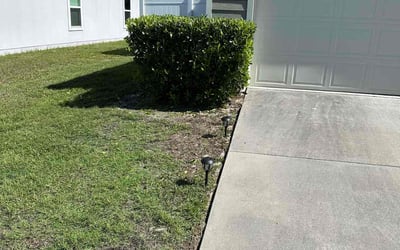 Photo of Sarah V.'s yard after getting landscaping in Middleburg, FL