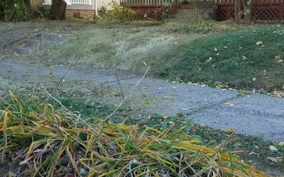 Photo of Adrian J.'s yard after getting landscaping in Lakeland, MN