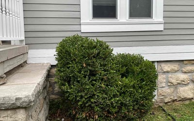 Photo of Kevin A.'s yard after getting landscaping in Braymer, MO