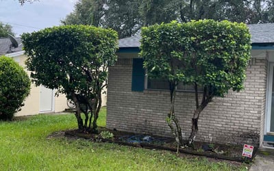 Photo of Terrance P.'s yard after getting tree care in Jacksonville, FL