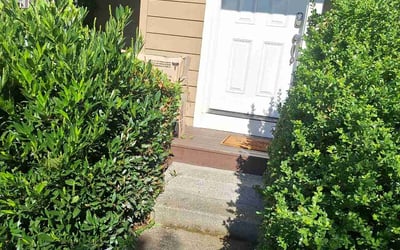 Photo of Judy R.'s yard after getting tree care in Everett, WA
