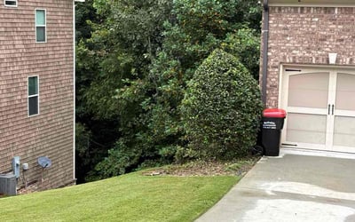 Photo of Demetris B.'s yard after getting tree care in Fairburn, GA