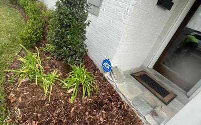 Photo of Andrew S.'s yard after getting landscaping in Lacombe, LA
