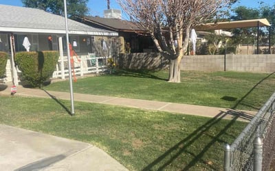 Photo of Debbie T.'s yard after getting landscaping in Mammoth, AZ