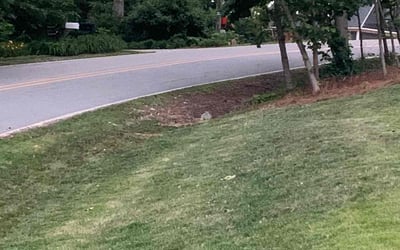 Photo of Josh J.'s yard after getting landscaping in Chester, SC