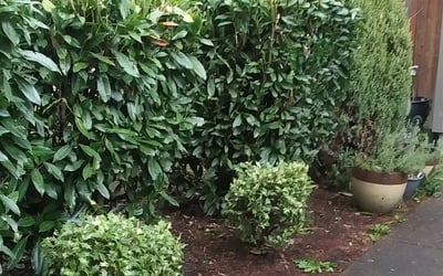 Photo of Kim H.'s yard after getting landscaping in Molalla, OR