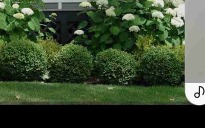 Photo of Jeff B.'s yard after getting landscaping in Vancouver, WA