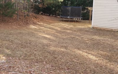 Photo of Brandon C.'s yard after getting landscaping in Holly Springs, GA