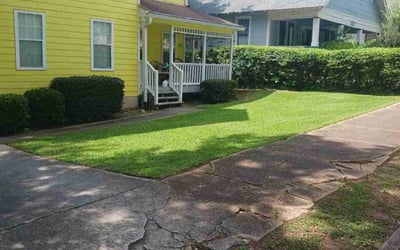 Photo of Louis P.'s yard after getting landscaping in Atlanta, GA