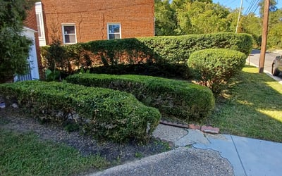Photo of Richard M.'s yard after getting landscaping in Washington, VA