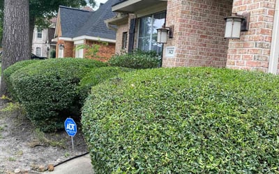 Photo of Steven S.'s yard after getting landscaping in Tomball, TX