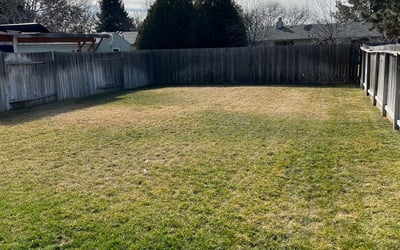 Photo of Joe Y.'s yard after getting tree care in Boise, ID