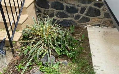 Photo of Robert D.'s yard after getting landscaping in Penns Grove, NJ