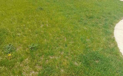Photo of Victoria A.'s yard after getting landscaping in Marion, IA