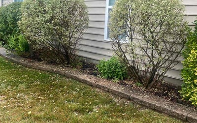 Photo of Robert K.'s yard after getting landscaping in Vincentown, NJ