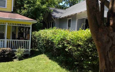 Photo of Louis P.'s yard after getting landscaping in Statham, GA