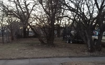 Photo of Helen W.'s yard after getting landscaping in Wellington, KS