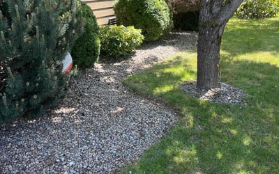 Photo of Judy R.'s yard after getting tree care in Seattle, WA
