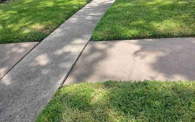 Photo of Brandon M.'s yard after getting landscaping in Romayor, TX