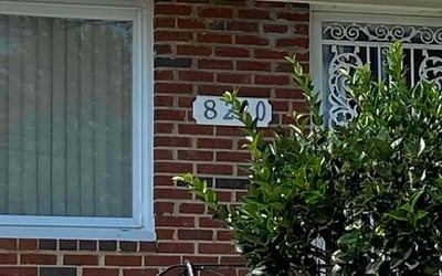 Photo of Sal S.'s yard after getting tree care in Gaithersburg, MD