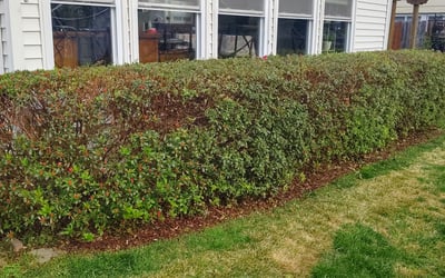 Photo of John B.'s yard after getting landscaping in Welcome, MD