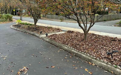 Photo of Stephen S.'s yard after getting landscaping in Abington, MA