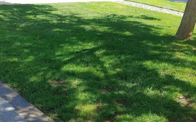 Photo of Andrew F.'s yard after getting landscaping in Kiowa, CO