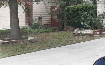 Photo of Cheryl H.'s yard after getting tree care in Seguin, TX