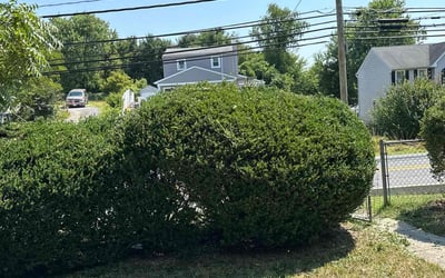 Photo of Mark L.'s yard after getting landscaping in Arnold, MD