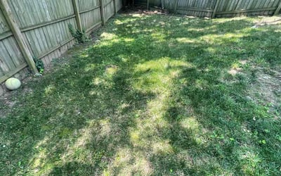 Photo of Mark A.'s yard after getting landscaping in Spotsylvania, VA