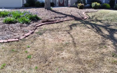 Photo of Kelly S.'s yard after getting landscaping in Felton, GA