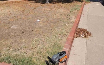 Photo of Robert K.'s yard after getting landscaping in Casa Grande, AZ